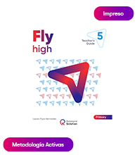 Fly High 5 - Teacher's Guide